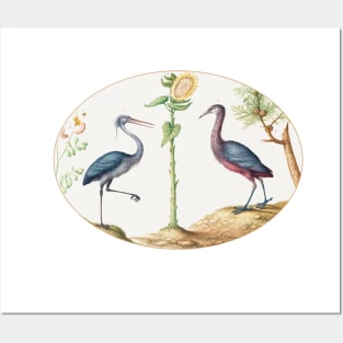 Two Herons with a Sunflower (1575–1580) Posters and Art